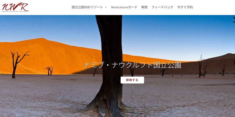 「ナミブ砂漠①アクセスとデッドフレイ周辺」徹底ガイド 【旅の大事典】